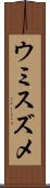 ウミスズメ Scroll