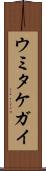 ウミタケガイ Scroll