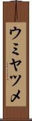 ウミヤツメ Scroll