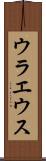 ウラエウス Scroll