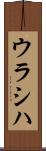 ウラシハ Scroll