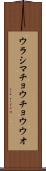 ウラシマチョウチョウウオ Scroll