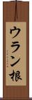 ウラン根 Scroll
