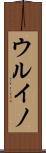 ウルイノ Scroll