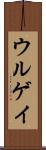 ウルゲイ Scroll