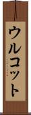 ウルコット Scroll
