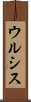 ウルシス Scroll