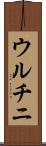 ウルチニ Scroll