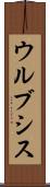 ウルブシス Scroll