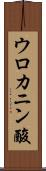 ウロカニン酸 Scroll