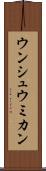 ウンシュウミカン Scroll