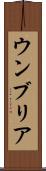 ウンブリア Scroll