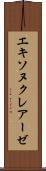 エキソヌクレアーゼ Scroll