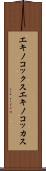 エキノコックス Scroll