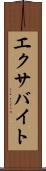 エクサバイト Scroll
