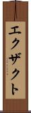 エクザクト Scroll