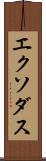 エクソダス Scroll