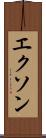 エクソン Scroll