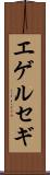 エゲルセギ Scroll