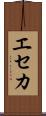 エセカ Scroll