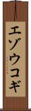 エゾウコギ Scroll