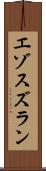 エゾスズラン Scroll