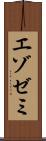 エゾゼミ Scroll