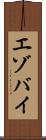 エゾバイ Scroll