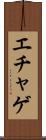エチャゲ Scroll