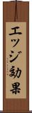 エッジ効果 Scroll