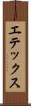 エテックス Scroll