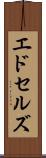 エドセルズ Scroll