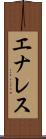 エナレス Scroll