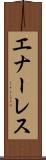 エナーレス Scroll