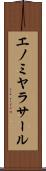 エノミヤラサール Scroll