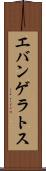エバンゲラトス Scroll