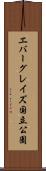 エバーグレイズ国立公園 Scroll