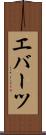 エバーツ Scroll
