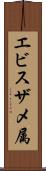 エビスザメ属 Scroll
