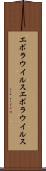 エボラウイルス Scroll