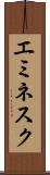 エミネスク Scroll