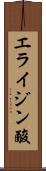 エライジン酸 Scroll