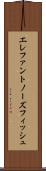 エレファントノーズフィッシュ Scroll