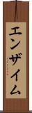 エンザイム Scroll