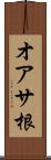 オアサ根 Scroll