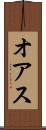 オアス Scroll