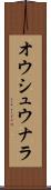 オウシュウナラ Scroll
