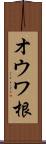 オウワ根 Scroll