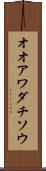 オオアワダチソウ Scroll