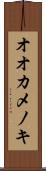 オオカメノキ Scroll